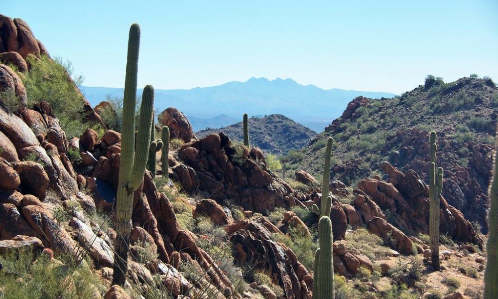 McDowell-Sonoran-Preserve McDowell Sonoran Preserve, Scottsdale, AZ